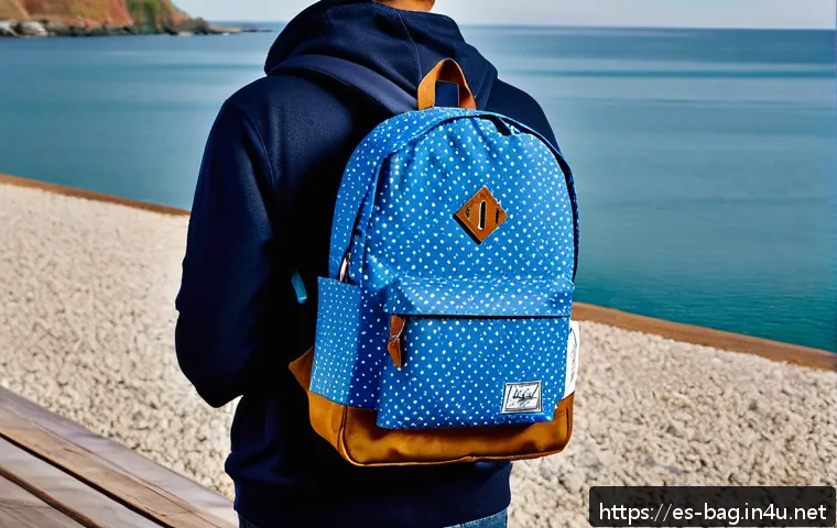 Herschel 백팩의 클래식 모델 리뷰 관련 이미지 1